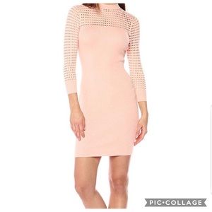 GUESS - Alison Knit Bodycon Dress